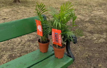 Akcja marketingowa Radia ESKA w Suwałkach z okazji pierwszego dnia wiosny